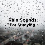 !!" Rain Sounds For Studying "!!