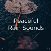 !!" Peaceful Rain Sounds "!!