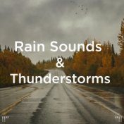 !!" Rain Sounds and Thunderstorms "!!