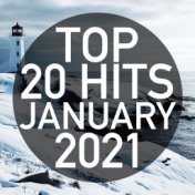 Top 20 Hits January 2021 (Instrumental)
