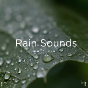 !!" Rain Sounds "!!