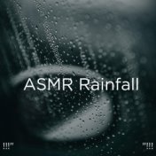 !!!" ASMR Rainfall "!!!