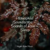 Pluviophile Soundscape - Sounds of Rain - Sleep