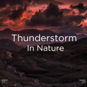 !!!" Thunderstorm In Nature "!!!