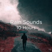!!" Rain Sounds 10 Hours "!!