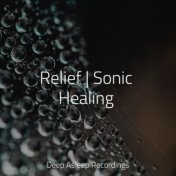 Relief | Sonic Healing