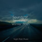 Sounds of Seasons - Winter Rain