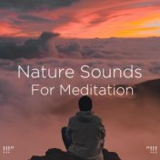 !!!" Nature Sounds For Meditation "!!!