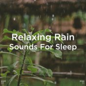 !!" Relaxing Rain Sounds For Sleep "!!