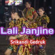 Lali Janjine