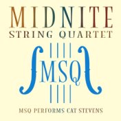 MSQ Performs Cat Stevens