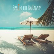 Spa in the Bahamas (Hour of Relaxation Therapy Music for Spa, Massage, Meditation, Reiki, Yoga, Sleep, Zen New Age)