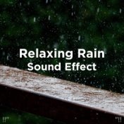 !!" Relaxing Rain Sound Effect "!!