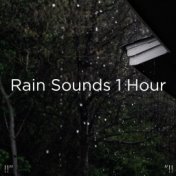 !!" Rain Sounds 1 Hour "!!