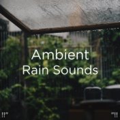 !!" Ambient Rain Sounds "!!