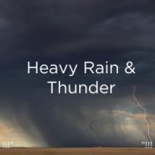 !!!" Heavy Rain & Thunder "!!!