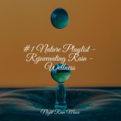 #1 Nature Playlist - Rejuvenating Rain - Wellness