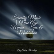 Serenity Music | New Age Music | Spa & Meditation