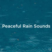 !!" Peaceful Rain Sounds "!!