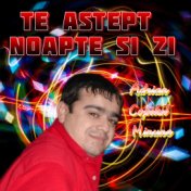 Te astept noapte si zi