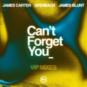 Can’t Forget You (feat. James Blunt) (VIP Mixes)