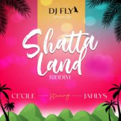 Shatta Land Riddim