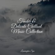 Tender & Delicate Chillout Music Collection