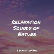 Relaxation Sounds of Nature