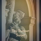Tiny Trumpet Sunset