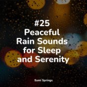 #25 Peaceful Rain Sounds for Sleep and Serenity