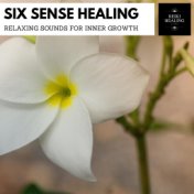 Six Sense Healing - Relaxing Sounds For Inner Growth