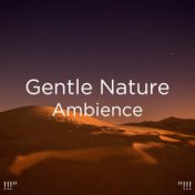 !!!" Gentle Nature Ambience "!!!
