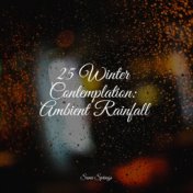 25 Winter Contemplation: Ambient Rainfall