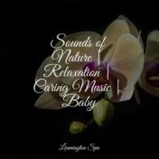 Sounds of Nature | Relaxation | Caring Music | Baby