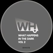 What Happens in the Dark Vol 2