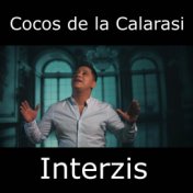 Interzis