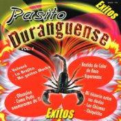 Pasito Duranguense, Vol. 1