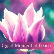 Quiet Moment of Peace: Soft Ambient New Age for Time of Relaxation and Easy Living