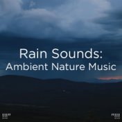 !!!" Rain Sounds: Ambient Nature Music "!!!