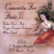 Concerts For Flute II