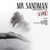 Mr Sandman (Live)