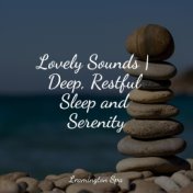 Lovely Sounds | Deep, Restful Sleep and Serenity