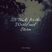 25 Tracks for the World and Storm