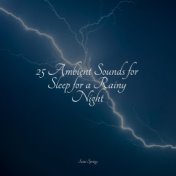 25 Ambient Sounds for Sleep for a Rainy Night