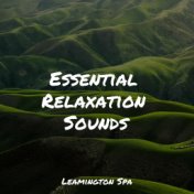 Essential Relaxation Sounds