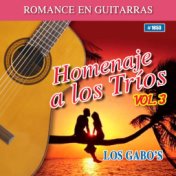 Homenaje A Los Trios, Vol. 3