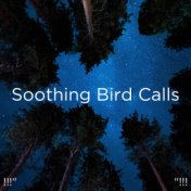 !!!" Soothing Bird Calls  "!!!