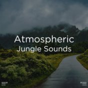 !!!" Atmospheric Jungle Sounds "!!!