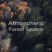 !!!" Atmospheric Forest Sounds "!!!