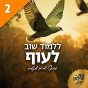 ללמוד שוב לעוף 2 (אוסף שירים שקטים)